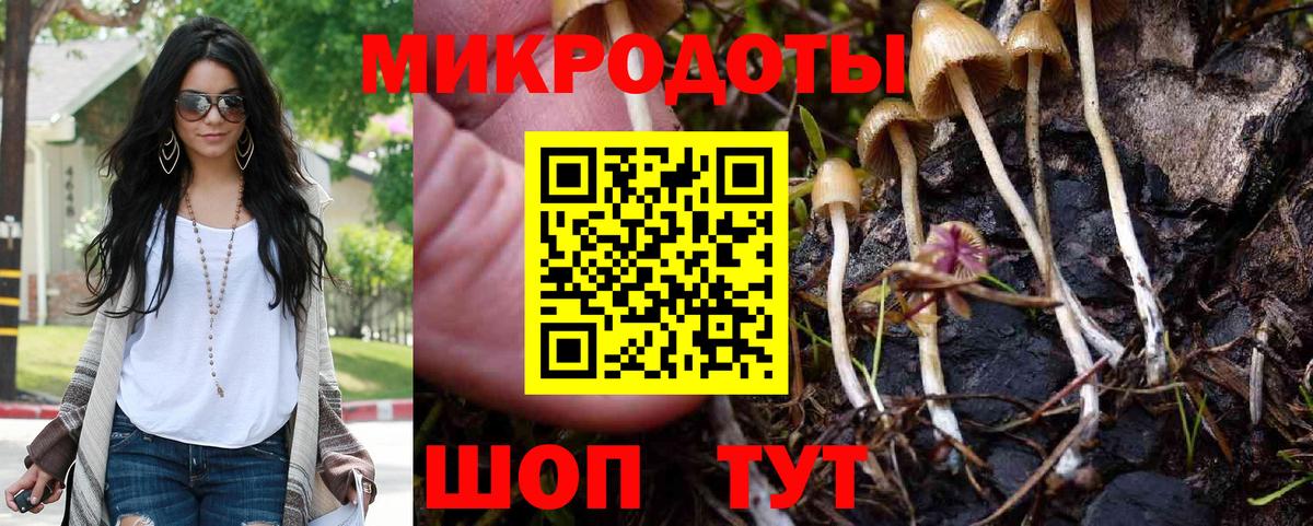 купить  сайты  Вход с VPN  Томск  Псилоцибиновые грибы GOLDEN TEACHER 