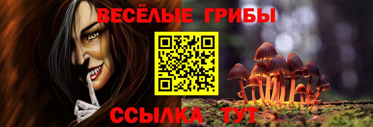 Галлюциногенные грибы Cubensis Томск